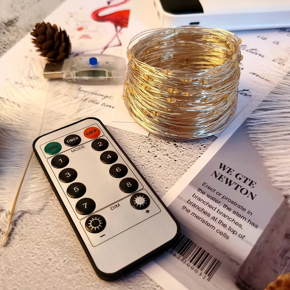 Led String Light Christmas Fairy Light
